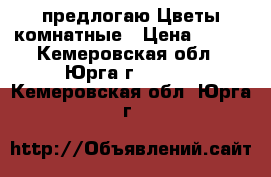 предлогаю Цветы комнатные › Цена ­ 300 - Кемеровская обл., Юрга г.  »    . Кемеровская обл.,Юрга г.